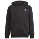 Adidas Παιδικό φούτερ Adicolor Hoodie